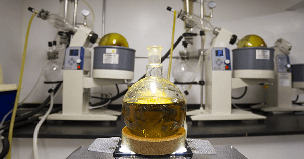 A bottle of liquid on a table, representing CBD oil extraction methods.