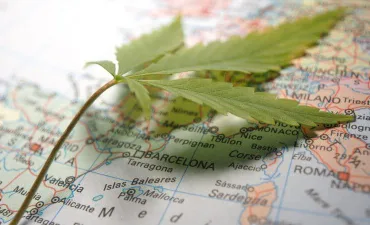 Cannabis leaf on a map.