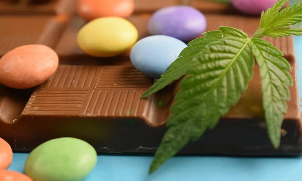 cbd chocolate candy with cannabis leaf