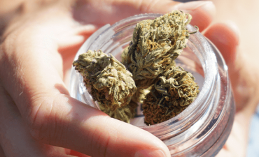 A glass jar containing marijuana buds